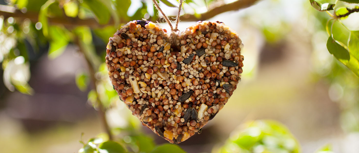 Summer Bird Feeders HomeFront Magazine